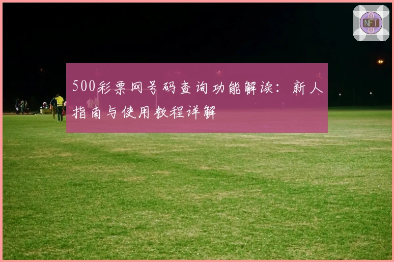 500彩票网号码查询功能解读：新人指南与使用教程详解