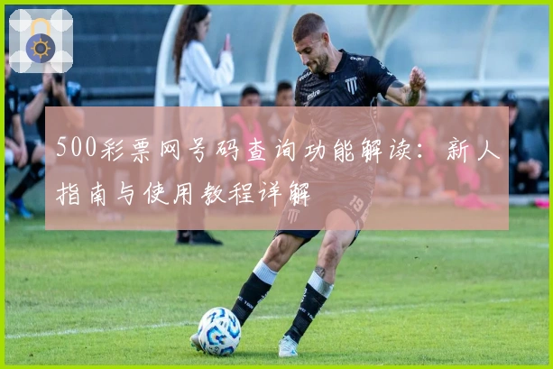 500彩票网号码查询功能解读:新人指南与使用教程详解